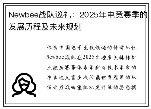 Newbee战队巡礼：2025年电竞赛季的发展历程及未来规划