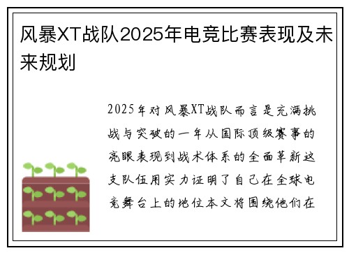 风暴XT战队2025年电竞比赛表现及未来规划