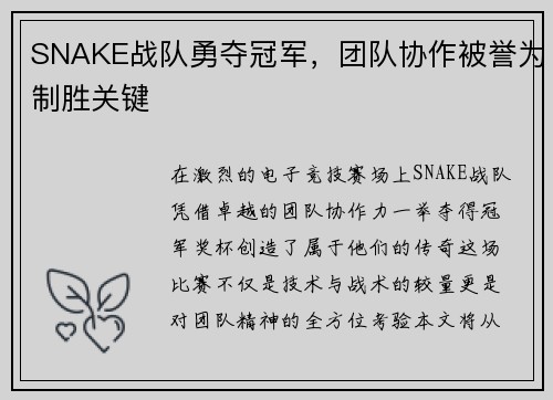 SNAKE战队勇夺冠军，团队协作被誉为制胜关键